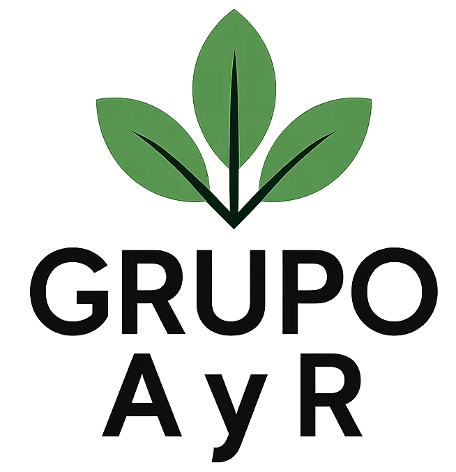 Grupo AYR Logo